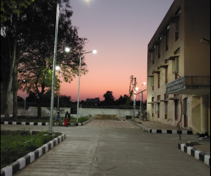 MSCCA Image